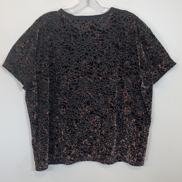 We The Free Black and Brown Burnout Short SleeveTop Sz. XS-See Measurements EUC - Picture 7 of 7